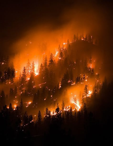 montana wildfire, forest fire | Flickr - Photo Sharing! Johanna Basford Enchanted Forest, Breathing Fire, Fire Photography, Pastel Sec, Wild Fire, Orange Aesthetic, Forest Fire, Life Is Strange, Fire And Ice