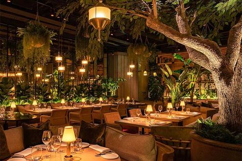 Bohemian Restaurant, Forest Restaurant, Resturant Interior, Kitchen Outside, Bistro Interior, Chaise Restaurant, Modern Restaurant Design, Outdoor Restaurant Design, Restaurant Exterior