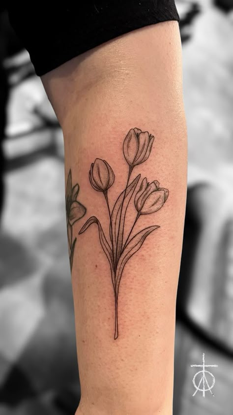 Tattoo uploaded by Claudia Fedorovici • Fine Line Tulips Tattoo by Claudia Fedorovici #finelinetattooartist #fineline #tulips #finetattoos #tattooartistsamsterdam #floraltattoo #claudiafedorovici #ascetictattoo #tempesttattooamsterdam Tulip Flowers Tattoo, Men’s Tulip Tattoo, Vase Of Tulips Tattoo, Tulip Vine Tattoo, Matching Tulip Tattoo, Tulip In A Cup Tattoo, 3 Tulips Tattoo, Tulip Forearm Tattoo, Bouquet Of Tulips Tattoo