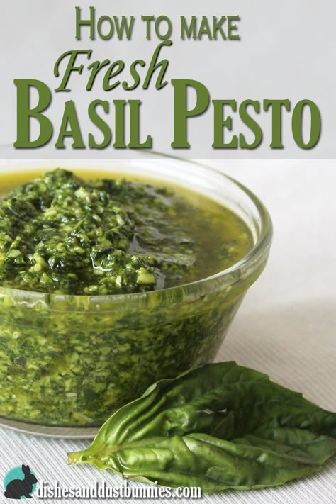 Pesto Dishes, Fresh Basil Pesto, Basil Pesto Recipe, Basil Pesto Recipes, Basil Recipes, Homemade Pesto, Pesto Recipe, Pesto Sauce, Basil Pesto