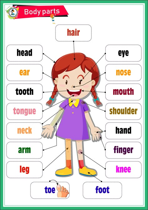 Body Parts Parts Of The Body For Kids, Body Parts Preschool Activities, Body Parts For Kids, Body Parts Preschool, Teach English To Kids, Grammar For Kids, English Activities For Kids, Kids Worksheets Preschool, Learning English For Kids