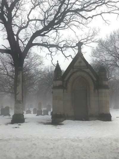 White Goth Aesthetic, Goth Winter, Old Cemetery, Gothic Stuff, Beauty In Darkness, White Goth, Dark Christmas, Southern Gothic, Gothic Aesthetic