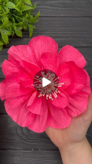 Origami Studio DIY 💥 Paper Craft Tutorials on Instagram: "How to Make Crepe Paper Flowers Crepe Paper Decoration #diycrafts #papercraft #crepepapercraft #crepepaperflower #tutorial #diy #fyp #fypシ" Making Large Paper Flowers, Diy Crepe Paper Flowers Tutorials, Crepepaperflower Diy, Large Crepe Paper Flowers Diy, How To Make Crepe Paper Flowers, How To Make Flowers With Paper, Crepe Flowers Diy, Making Flowers With Paper, How To Make Flowers