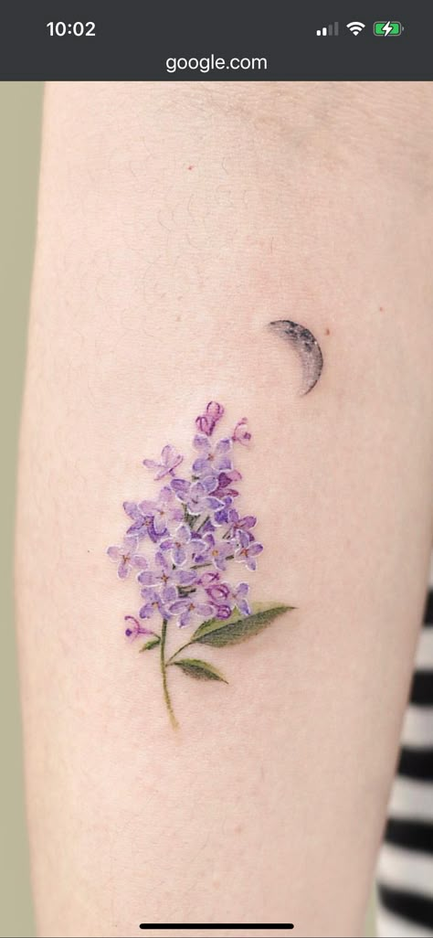 Wisteria Tattoo Foot, Branch With Flowers Tattoo, Wisteria Tree Tattoo, Wisteria Flower Tattoo, Wisteria Tattoo, Girl Tattoo Ideas, Flor Tattoo, Wisteria Plant, Wisteria Tree