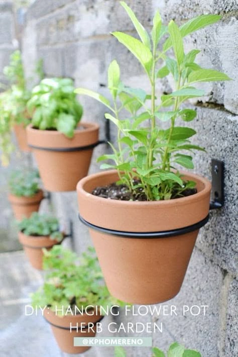 Herb Garden Wall, Herb Garden Pots, Outdoor Herb Garden, Hanging Herb Garden, Herb Wall, Hanging Herbs, Diy Herb Garden, Vertical Herb Garden, Indoor Herb