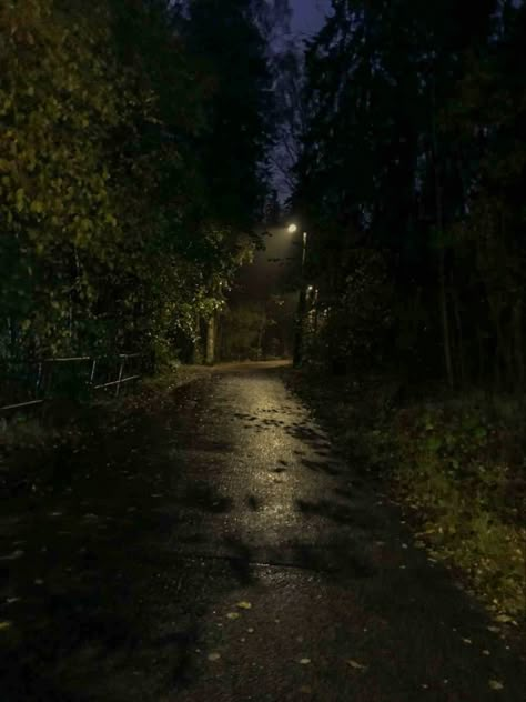 late rainy fall night Rainy Fall Night, Rainy Walk Aesthetic, Cold Fall Aesthetic, Rainy Road Night, Nature Rain Wallpaper, Dark Rainy Night Aesthetic, Rainy Sidewalk, Rainy Midnight, Night Walks Aesthetic