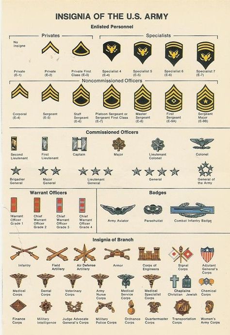 Miejski Survival, Vojenský Humor, Airplane Room, Army Ranks, Military Ranks, Military Insignia, Army Strong, Army Mom, Army Life