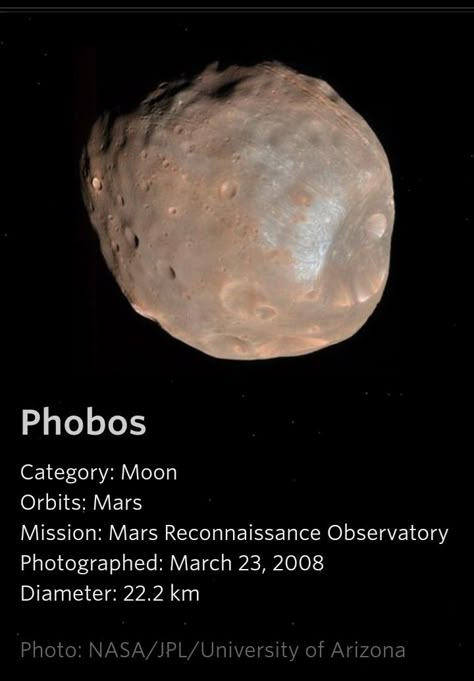 Phobos Moon, Mars Moons, Moon Orbit, Solar System Poster, Astronomy Constellations, Astronomy Facts, Astronomy Science, Space Facts, Planets And Moons