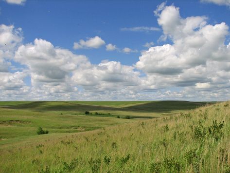 Kansas rolling grassy plains Kansas Prairie, Kansas Landscape, Environment Aesthetic, Day Landscape, Grassy Plains, Plains Landscape, Prairie Landscape, Landscape Field, Landscape Pics