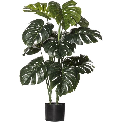 Black Planters, Artificial Plants And Trees, Palm Plant, Floor Plants, Interior Plants, Artificial Trees, Monstera Plant, Artificial Tree, Foliage Plants