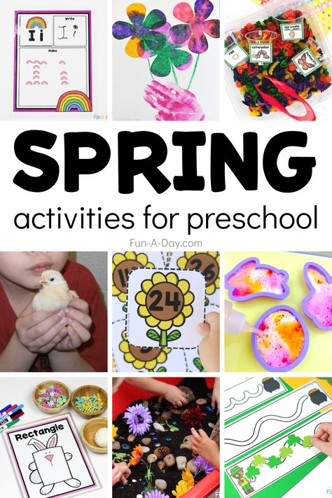 SO MANY amazing spring activities for preschoolers and kindergarten kids! You'll find math, sensory, science, literacy, art, and craft ideas to plan all of your spring fun for kids. There are even many spring free printables! Click on the Fun-A-Day.com for more information. Spring Animals Preschool, Spring Eyfs, Spring Activities For Preschoolers, Math Activities For Preschool, Spring Lesson Plans, Spring Math Activities, Spring Preschool Activities, Spring Arts And Crafts, Spring Lessons