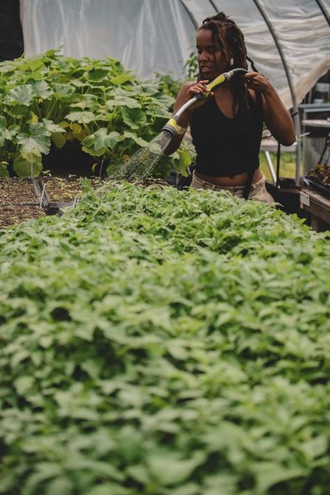 All Things Black Women on Twitter: "Black girls with gardens.… " Scandinavian Beauty, All Things Black, Female Farmer, Cash Crop, Urban Farmer, Farm Lifestyle, Permaculture Gardening, Nourishing Foods, Garden Girls