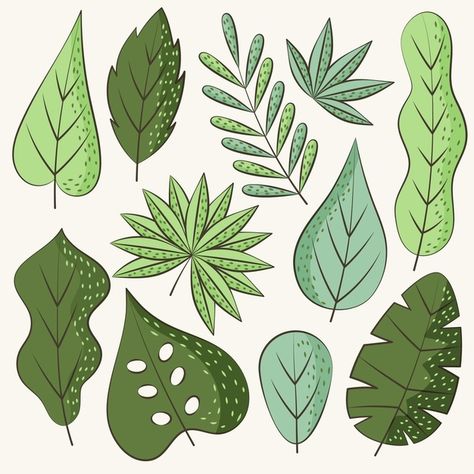 Hand drawn green leaves | Free Vector #Freepik #freevector #leaf Different Leaf Shapes, Plant Leaves Drawing, Green Leaves Drawing, Flower And Leaves Drawing, Animated Leaves, Door Paintings, Cartoon Leaves, Leaves Cartoon, Leaf Cartoon