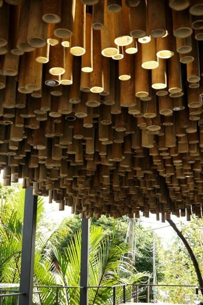 Ceiling Accent, Bamboo Ideas, Bamboo Diy, Bamboo Building, Bamboo Ceiling, Bamboo Structure, Bamboo Architecture, Bamboo Decor, Bamboo Construction