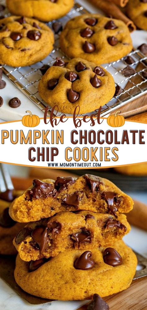 Pumpkin Background Wallpapers, Easy Pumpkin Chocolate Chip Cookies, Best Pumpkin Chocolate Chip Cookies, Pumpkin Chocolate Chip Cookies Easy, Carpet Ideas 2023, Fall Baking Recipes, Carpet Designs, Carpet Ideas, Pumpkin Chocolate Chip