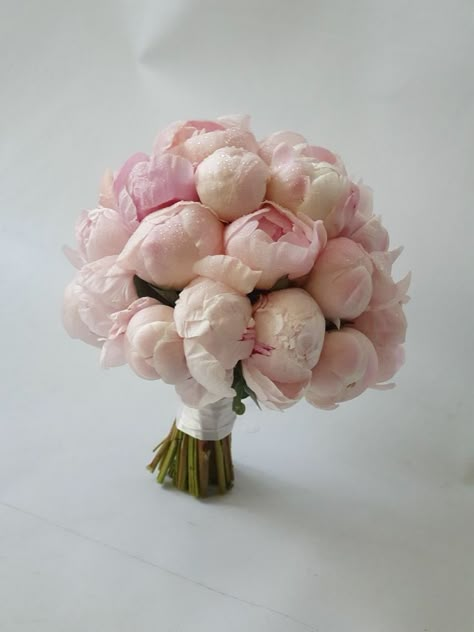 Peonies White Bouquet, Peony Bridal Bouquet Blush, Ranunculus And Peony Bouquet, Peony Wedding Bouquet Spring, Ranunculus Bouquet Wedding, Pink Peony Bouquet Wedding, Pink Hydrangea Bouquet, Blush Peony Bouquet, Pink Peony Bouquet