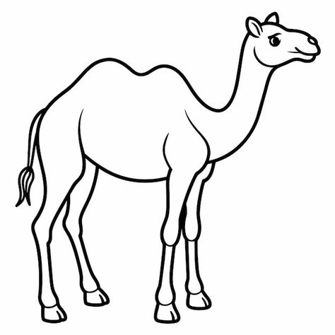 Premium Vector | Coloring book cute camel with outline stroke Camel Drawing For Kids, Camel Drawing Easy, Animal Outline Drawing, Animals Outline, Camel Drawing, Camel Craft, Drawing Pictures For Kids, Camels Art, Owl Coloring