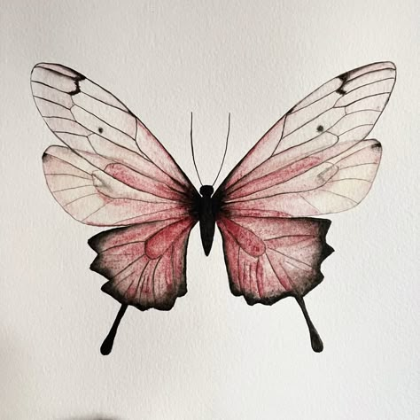 Butterfly Watercolor Painting, Watercolour Butterfly, Butterfly Simple, Butterfly Art Drawing, Sketching Inspiration, Butterfly Sketch, Images Emoji, Painting Realistic, Butterfly Artwork