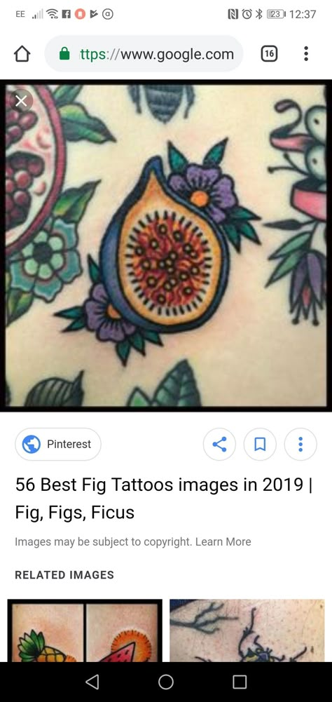 American Traditional Fig Tattoo, Fig Leaf Tattoo, Leave Tattoo, Fig Images, Fig Tattoo, Pomegranate Tattoo, A Tattoos, Food Tattoos, Tattoo Themes