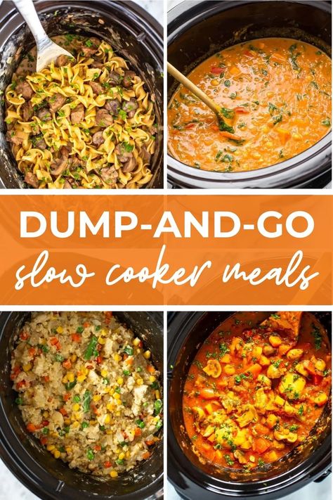 Healthy Crockpot Recipes {Dump Dinners} - The Girl on Bloor Chicken Dump Meals Crock Pot, Slow Cooker Dump Dinners, Easy Crockpot Meal Prep Healthy, Slow Cooker Recipes Freezer Meals, Hamburger Dump Recipes, 8 Hour Crockpot Meals, Crockpot Recipes Dump, Slow Cooker Paleo Recipes, Slow Cooker Dump Recipes