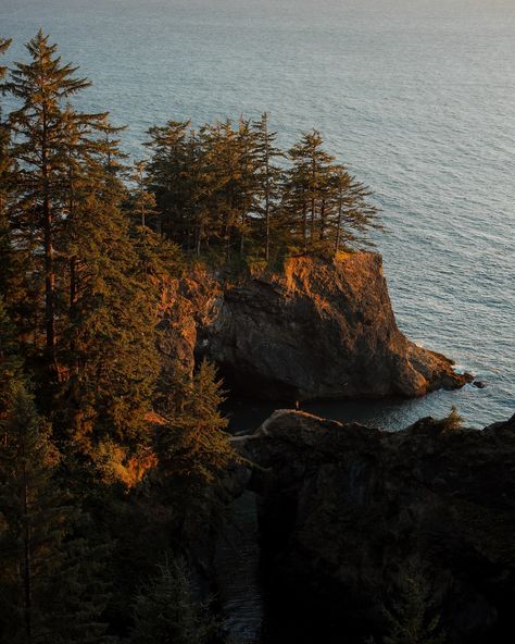 just a girl constantly racing to catch golden hour 💛 Oregon | Outdoors | Sunset | Coastline | pacific | PNW | Explore Pacific Northwest Hikes, Couer Dalene Idaho, Oregon Coast Aesthetic, Pnw Roadtrip, Neskowin Oregon, Northwest Pacific, Oregon Aesthetic, Pnw Aesthetic, Oregon Summer