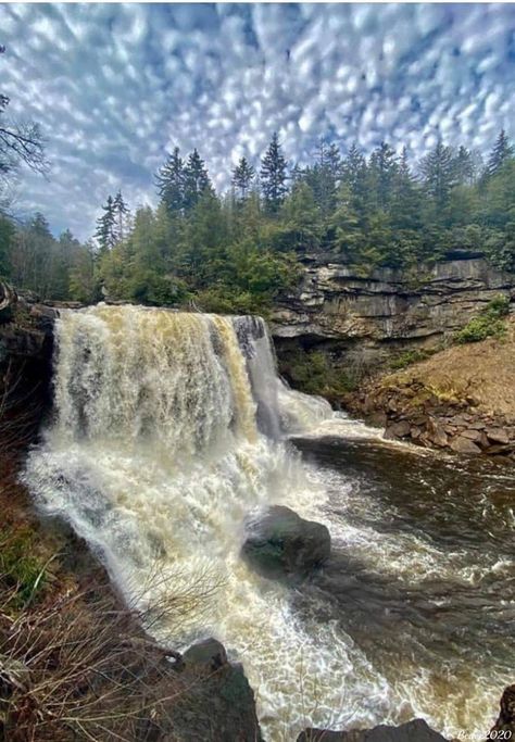 Water Falls, Black Water, West Virginia, Virginia, Water, Black