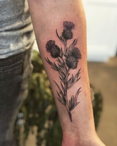 Mens Scottish Tattoos, Thistle Tattoo Men, Scottish Thistle Tattoos, Thistle Tattoo Design, Mens Botanical Tattoo, Scottish Tattoos Men, Botanical Tattoo Men, Scottish Tattoo Ideas, Scottish Tattoos For Women