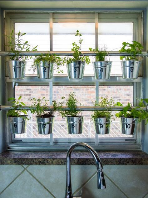 Use muffin tins for bathroom storage, plus more surprising ways to repurpose old kitchen stuff. Hanging Herb Gardens, Indoor Garden Apartment, Vertical Herb Gardens, Window Herb Garden, Indoor Herbs, Growing Herbs Indoors, Hanging Herb Garden, Herb Garden In Kitchen, Hanging Herbs