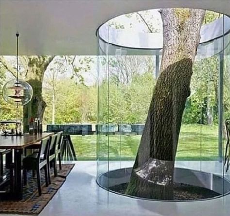 Beautiful House Images, Tree House Interior, Garden Concept, Tree Interior, Backyard Gardens, Gardens Ideas, Gardening Design, Landscaping Garden, Futuristic Interior