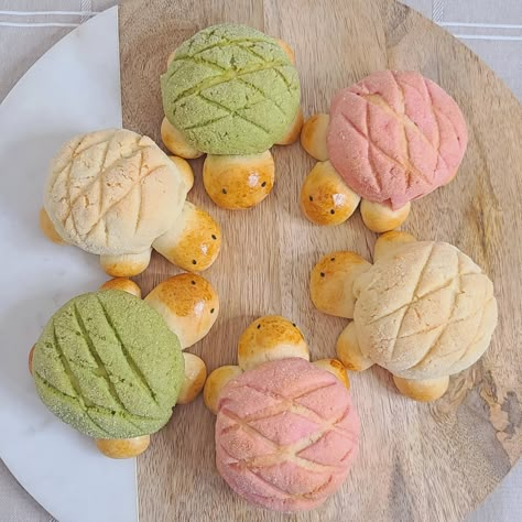 Cute Japanese Turtle Melon Pan Japanese Baked Goods, Melon Pan Recipe, Japanese Turtle, Asian Baking, Melon Pan, Japenese Food, Pan Recipe, Kawaii Cooking, Modern Asian