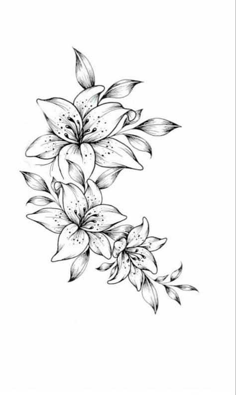 Lily Flower Vine Tattoo, Lily Thigh Tattoo Women, Lily Flower With Hummingbird Tattoo, Azalea Line Drawing, 3 Lily Tattoo Design, Lilly And Sunflower Tattoo, Lilly Shoulder Tattoos For Women, Jasmine Flowers Tattoo, Amaryllis Flowers Tattoo