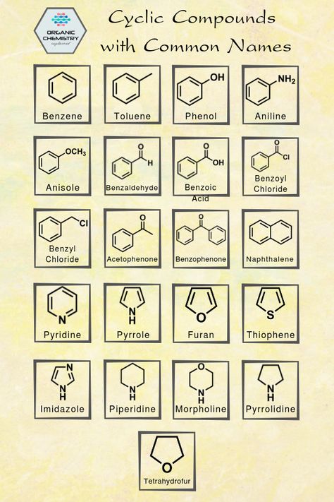 Organic Chemistry Humor, Chemistry Nomenclature, Organic Chemistry Cheat Sheet, Chemistry Drawing, Organic Chemistry Notes, Organic Chemistry Reactions, Biochemistry Notes, Chemistry Posters, Organic Chemistry Study