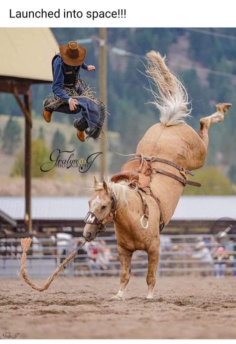 Dear Rodeo, Rodeo Pictures, Cowboy Photos, Rodeo Photography, Girl Sayings, Pbr Bull Riders, Saddle Bronc Riding, Bad Day At Work, Cowboy Lifestyle