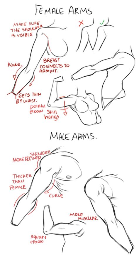 How To Draw Arms, Draw Arms, Body Drawing Tutorial, Human Anatomy Drawing, Human Anatomy Art, Anatomy For Artists, Art Tools Drawing, Sketches Tutorial, Anatomy Drawing