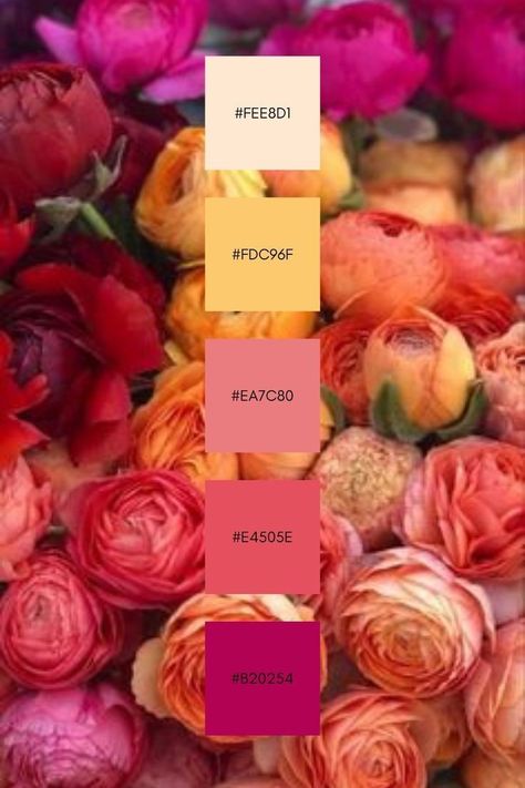 Magenta Color Palette Wedding, Bohemian Colors Scheme, Flower Colour Scheme, Sangria Color Palette, Mother’s Day Color Palette 2024, Summer Flower Color Palette, Flower Pallete Color, August Color Palette, Flower Colour Palette