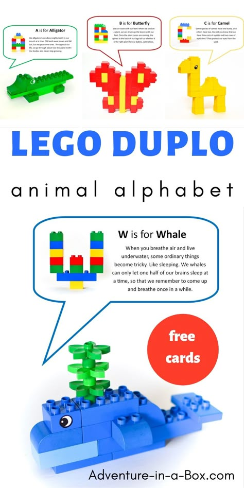 Use Lego Duplo to build animals while learning the alphabet! Included are 26 free printable cards with ideas of animal and letter designs. Duplo Animals, Lego Duplo Animals, Lego Duplo Sets, Letter Designs, Lego Animals, Preschool Homeschool, Lego Activities, Free Printable Cards, Easy Arts And Crafts