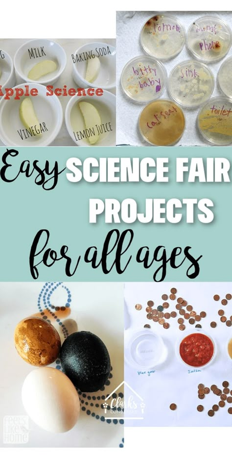 Easy Science Fair Project Ideas for All Ages (And Picking the Perfect Project) 2024 - Clarks Condensed Science Fair Projects For 2nd Grade, Easy Science Fair Ideas, Science Fair 1st Grade Project Ideas, Jr High Science Fair Projects, Easy Science Fair Projects For 3rd Grade, Science Fair Projects For Kindergarten, Science Fair Projects For 1st Grade, Science Fair 2nd Grade Project Ideas, Elementary School Science Project Ideas