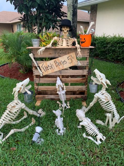 Skeleton Poses, Skeleton Ideas, Skeleton Decor, Halloween Camping, Halloween Lawn, Halloween Skeleton Decorations, Halloween Diy Outdoor, Halloween Outside, Hallowen Ideas