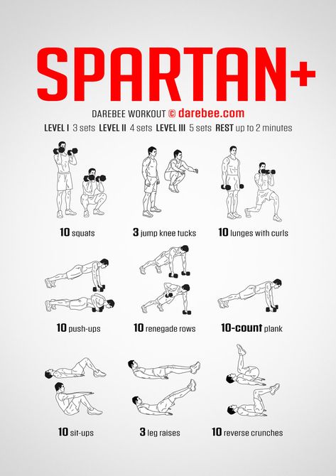 Military Workout Routine, Soldier Workout, Special Forces Workout, Spartan Workout, Resistance Training Workouts, Renegade Rows, Military Workout, Reverse Crunches, Major Muscles