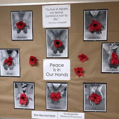 Anzac Day Crafts For Preschoolers, Anzac Day Activities For Kindergarten, Remembrance Day Decorating Ideas, Kindergarten Poppy Art, Peace Crafts Preschool, Anzac Day Art Kindergarten, Anzac Day Activities For Kids, Remembrance Day Art For Kindergarten, Poppy Crafts For Kids Veterans Day