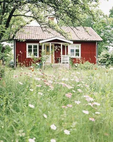 Red Houses, Swedish Cottage, Natural Landscaping, Red Cottage, Cottage Cabin, Bohol, Summer Cottage, Red House, Cabins And Cottages