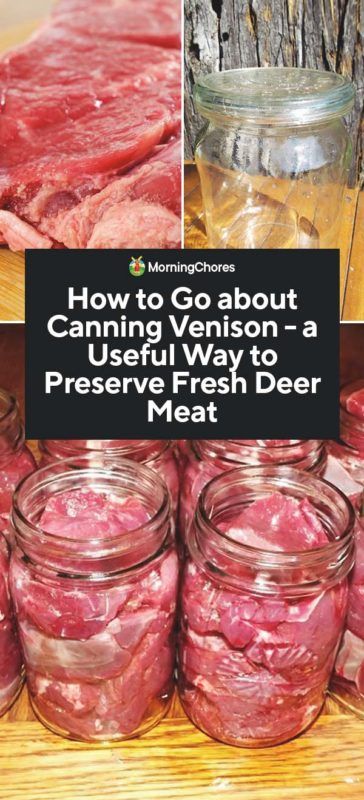 Canning Venison, Canned Venison, Canning Meat, Pressure Canning Recipes, Deer Recipes, Home Canning Recipes, Deer Meat Recipes, Canning Food Preservation, Canned Food Storage