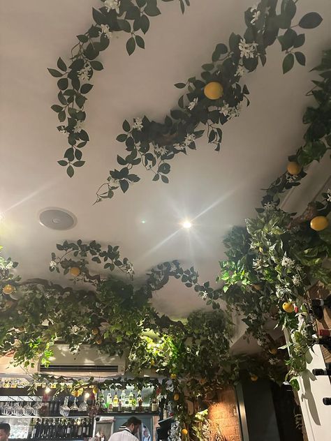 Flower Vine Ceiling Bedroom, Leaves Room Decor Ceiling, Moss Ceiling Bedroom, Bedroom Ceiling Ideas Aesthetic, Vibes Hanging From Ceiling, Vibes On Ceiling Bedroom, Hanging Room Decor Ceilings, Flower Vines Room Decor, Branches On Ceiling