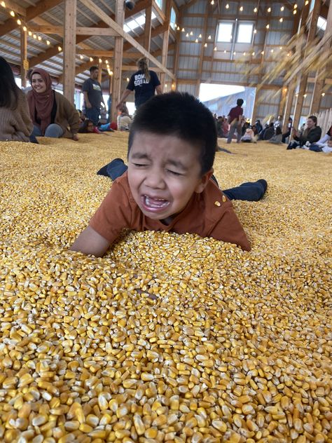 Farm kid pictures Pumpkin Patch Pictures, Kid Pictures, Farm Kids, Kids Pictures, Pumpkin Patch, Corn, Fall Outfits, Pool, Autumn Outfits