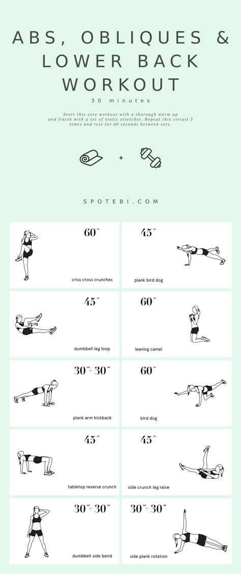 https://www.spotebi.com/wp-content/uploads/2021/07/core-strengthening-exercises-abs-obliques-lower-back-spotebi.gif Back And Abs Workout, Core Workout Routine, 30 Min Workout, Core Strengthening Exercises, Oblique Workout, Cardio Workout At Home, Abs And Cardio Workout, Strengthen Core, 30 Minute Workout