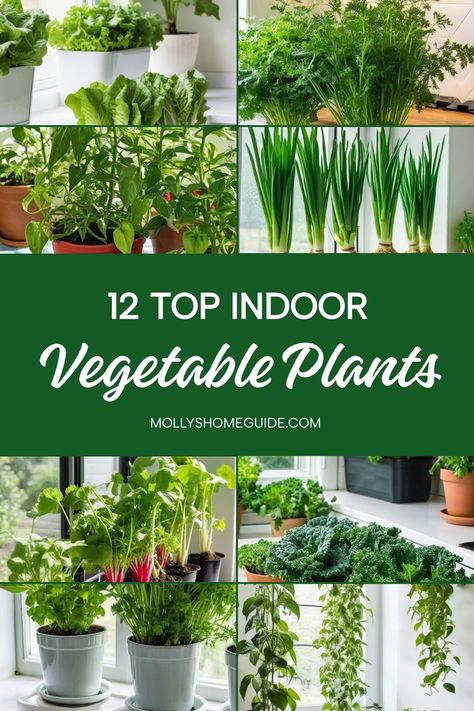 Looking to add some greenery indoors? Discover the best indoor vegetable plants you can easily grow inside. From strawberries to herbs, learn how to grow vegetables indoors and harvest fresh produce all year round. Get started with the easiest vegetables to grow indoors and even regrow from kitchen scraps. Consider growing vegetables in buckets or creating a year-round indoor garden with the best vegetables for your space. Enjoy the convenience of having your own indoor vegetable garden right at At Home Veggie Garden, Inside Vegetable Garden Ideas, Inside Vegetable Garden, Indoor Garden Inspiration, At Home Gardening, Basement Garden Indoor, Indoor Plants For Kitchen, Wall Garden Ideas Indoor, Grow Spinach Indoors