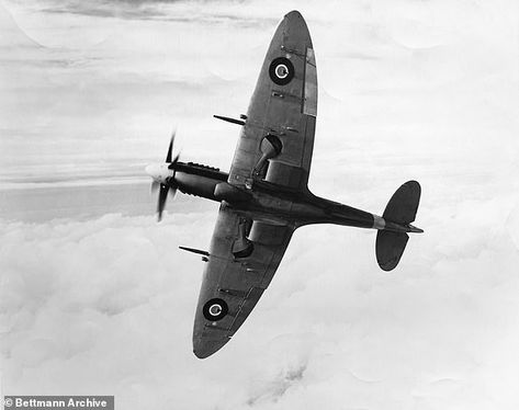 How the Germans created the ultimate fighter plane during WWII with captured British Spitfire | Daily Mail Online Aviation Image, Wwii Fighter Planes, Ultimate Fighter, Wwii Fighters, Wwii Plane, Supermarine Spitfire, British Aircraft, Ww2 Planes, Battle Of Britain