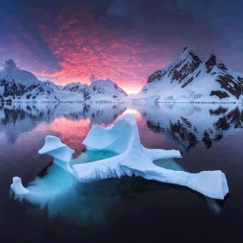 Pin by defneoskiper on Antarctica in 2020 | Antarctica, Photography ...