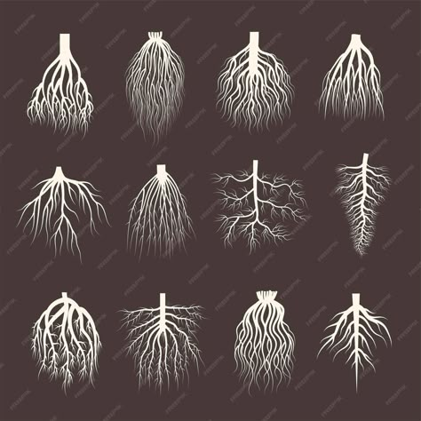 Premium Vector | Root system wooden roots from tree botanical plants symbols creep forest recent vector illustrations collection Root System Tattoo, Plant Roots Illustration, Roots Typography, Root Tattoo Ideas, Tree Roots Illustration, Tree Root System, Root Tattoo, Interpretive Art, Garden Branding