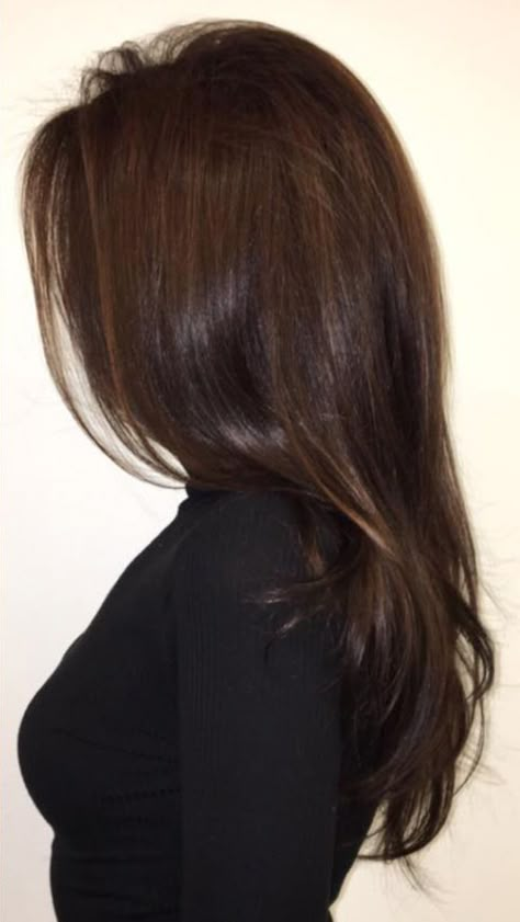 Long Layered Brunette Hair, Long Layered Brunette, Layered Brunette Hair, Old Money Couple, Money Couple, Couple Lifestyle, Brunette Girl, How To Manifest, Old Money